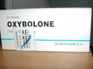 Oxybolone 20 teblets